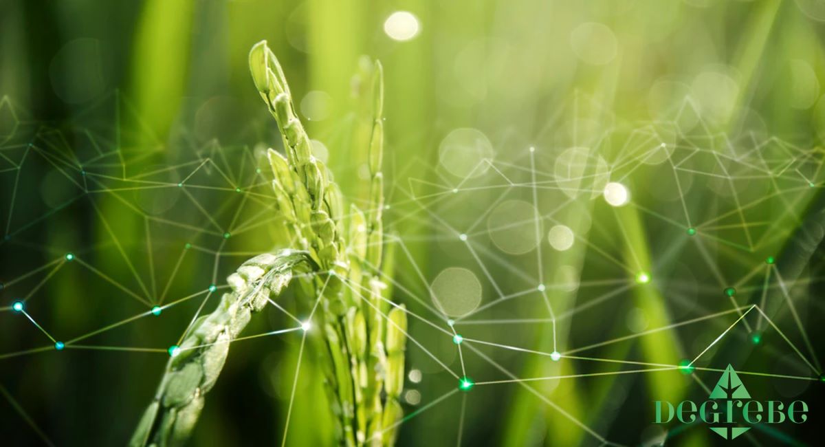 Development of Green Soft Skills for Better Employability